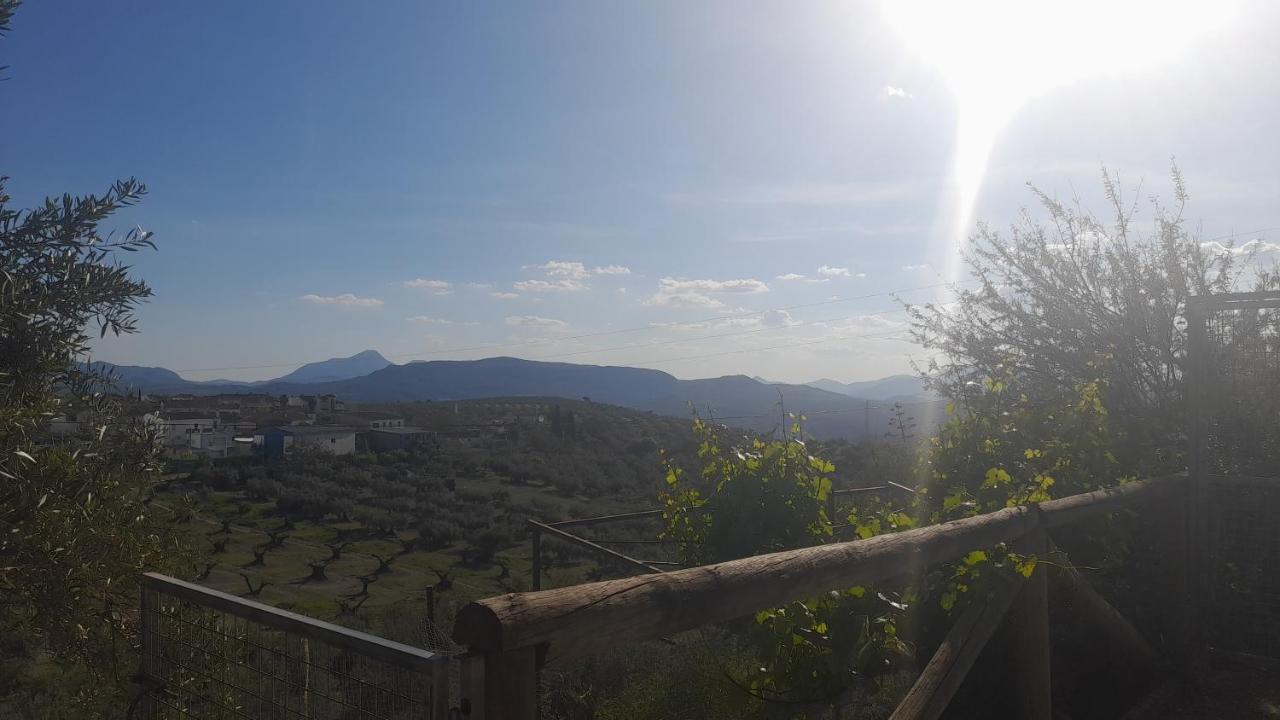 Cortijo El Cerro Daire Alcaudete Dış mekan fotoğraf