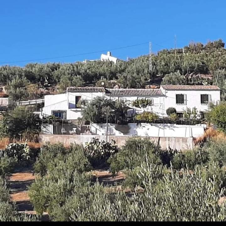 Cortijo El Cerro Daire Alcaudete Dış mekan fotoğraf